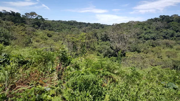 Landschaft Lena Kamerun — Stockfoto