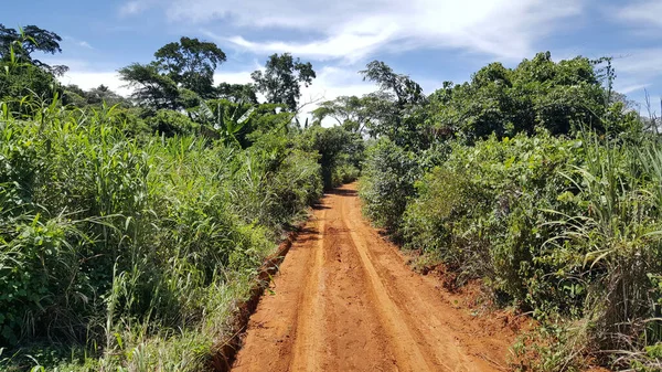 Weg Nach Djampa Kamerun — Stockfoto