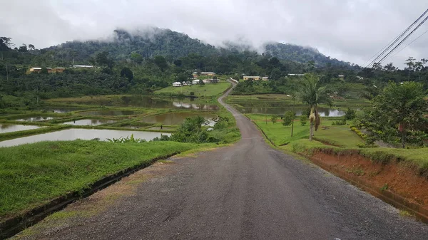 Strada Verso Città Mvila Camerun — Foto Stock