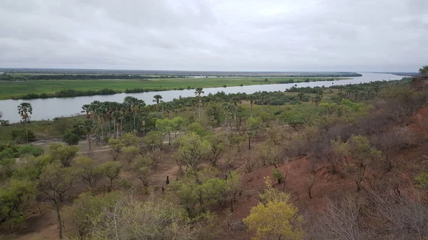 Gambie Nehri Gambiya Afrika Daki Kahi Badi Orman Parkı Ndan — Stok fotoğraf