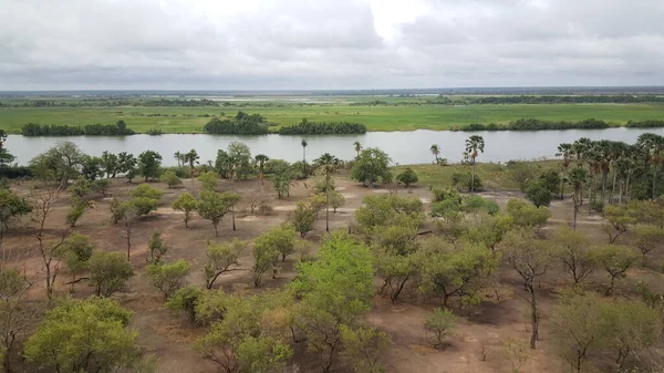 Gambie Nehri Gambiya Afrika Daki Kahi Badi Orman Parkı Ndan — Stok fotoğraf