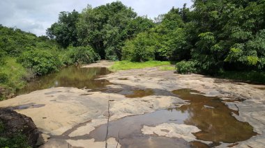 Gine, Afrika 'daki Kambadaga Şelalesi' nin çevresindeki orman.