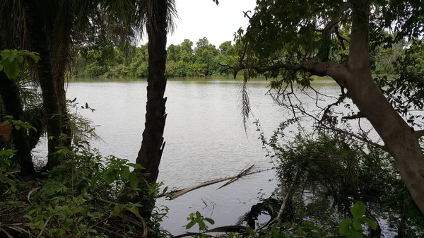 Río Gambia África — Foto de Stock