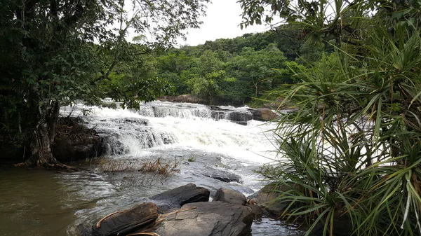 Strumień Wokół Sala Falls Gwinei Afryka — Zdjęcie stockowe