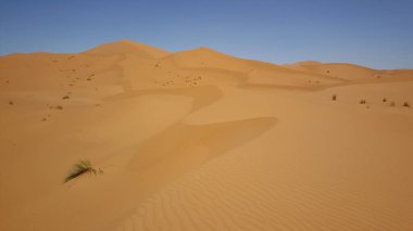 Fas 'taki Erg Chebbi' nin kum tepeleri