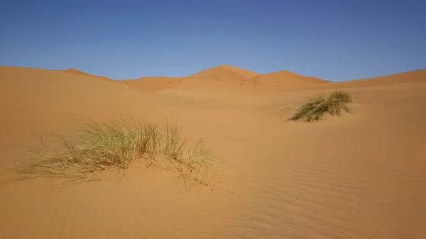 Die Dünen Von Erg Chebbi Marokko — Stockfoto