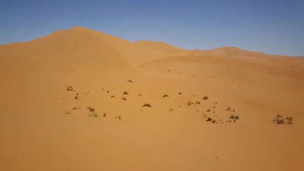 Duny Erg Chebbi Maroku — Stock fotografie