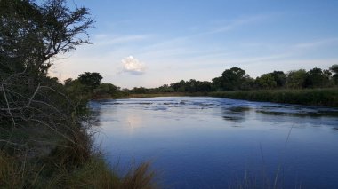 Divundu, Namibya 'daki Popa Game Park çevresindeki Okavango Nehri.