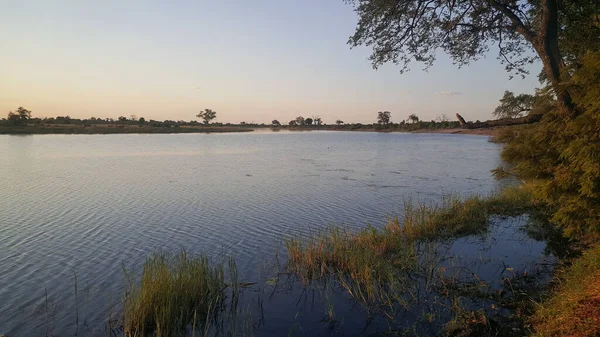 Řeka Cuando Národním Parku Mudumu Namibii — Stock fotografie