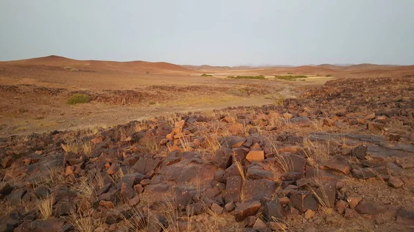Namibya Palmwag Doğa Koruma Alanı — Stok fotoğraf