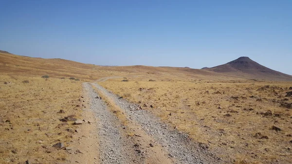 Namibya Daki Palmwag Doğa Koruma Alanından Geçen Yol — Stok fotoğraf