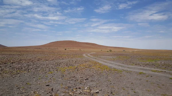 Cesta Přírodní Rezervaci Palmwag Namibii — Stock fotografie