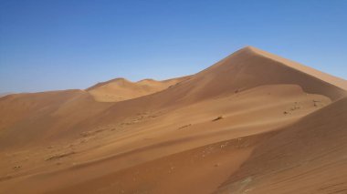 Büyük Baba Dune, Namibya Sossusvlei 'de.