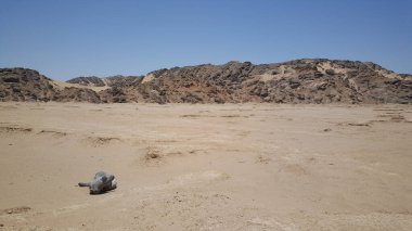 Namibya 'da iskelet kıyı manzarası