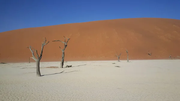 Paisagem Deserto Torno Sesriem Namíbia — Fotografia de Stock