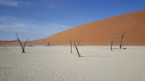 Deadvlei Több Évszázados Csontvázfákkal Namíbiában — Stock Fotó