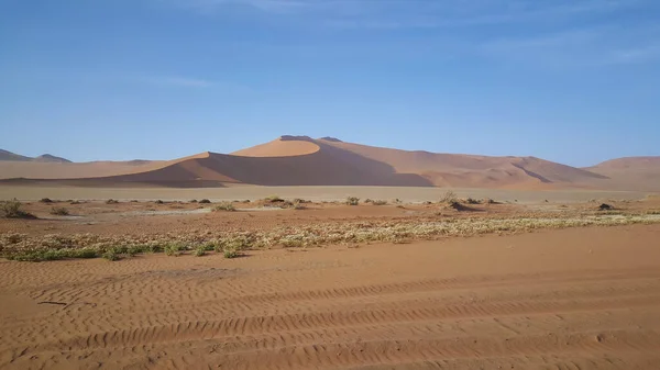 Vörös Dűnék Táj Sossusvlei Namíbiában — Stock Fotó