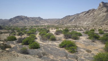 Namibya 'nın Namib çölündeki Spitzkoppe manzarası