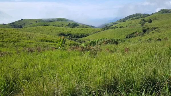 Green Hills Scenery Mayo Ndaga Nigeria — Stock Photo, Image