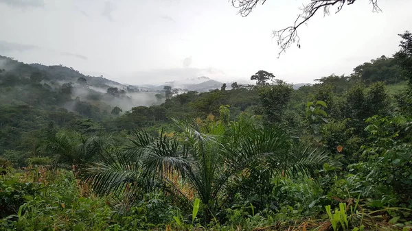 Togo Kloto Dağı Nın Etrafındaki Manzara — Stok fotoğraf