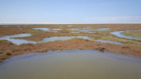 Wetland Het Khnifiss Nationaal Park Marokko — Stockfoto