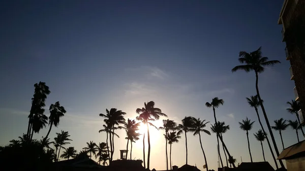 Palmy Severní Pláži Arubě Při Západu Slunce — Stock fotografie