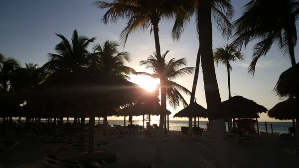 Sunset Palm Beach Aruba — Stock Photo, Image
