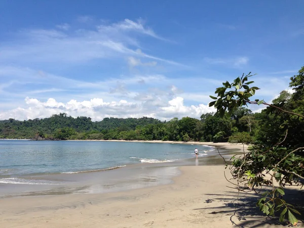 Manusia Berjalan Pantai Taman Nasional Manuel Antonio Costa Rica — Stok Foto