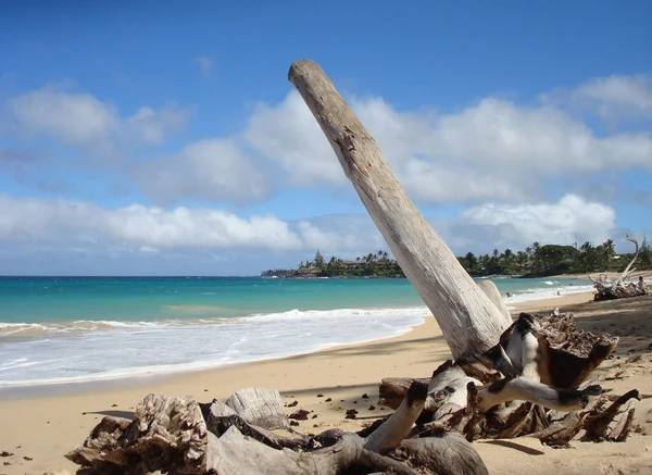 Wood Paia Beach Maui Hawaii — Stock Photo, Image