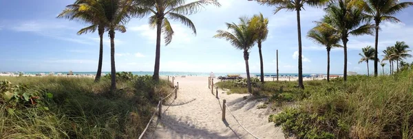 Panorama Vanaf Een Voetpad Naar South Beach Miami Florida Usa — Stockfoto