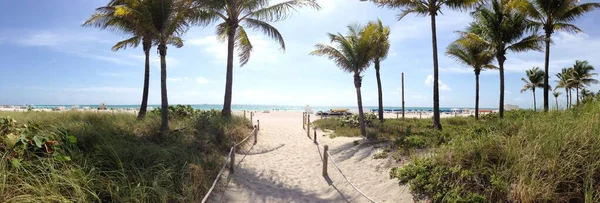Panorama Caminho Para South Beach Miami Florida Eua Fotos De Bancos De Imagens