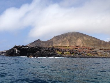 Punta Pitt, San Cristobal Galapagos Adaları Ekvador