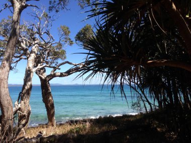 Avustralya 'daki Noosa Ulusal Parkı