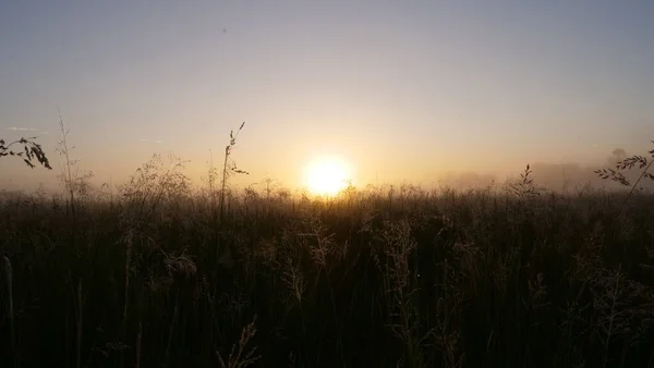 Coucher Soleil Moremi Game Reserve Botswana — Photo