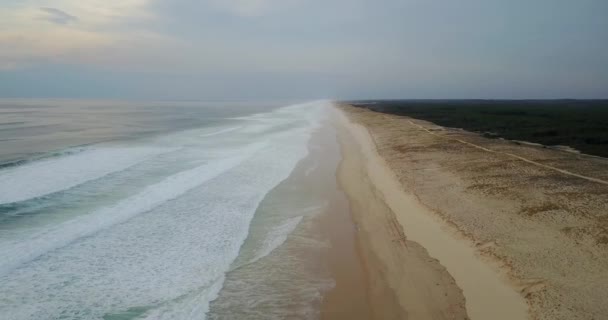 Légi Felvétel Felett Mimizan Strand Franciaországban — Stock videók