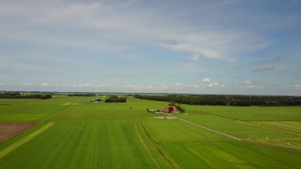 Aerial Landscape Farm Laaksum Friesland Netherlands — Stock Video