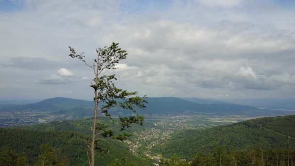 Paisaje Aéreo Cordillera Szyndzielnia Alrededor Bielsko Biala Polonia — Vídeos de Stock