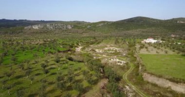 Portekiz 'deki doğal de las Sierras de Aire y Candeeiros parkındaki zeytin ağaçlarına hava manzarası yansıyor.