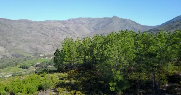 Vista Aerea Dalla Foresta Del Parco Naturale Serra Estrela Portogallo — Video Stock