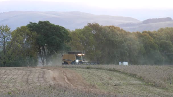 南アフリカのドラケンスバーグ周辺で大豆を収穫 — ストック動画