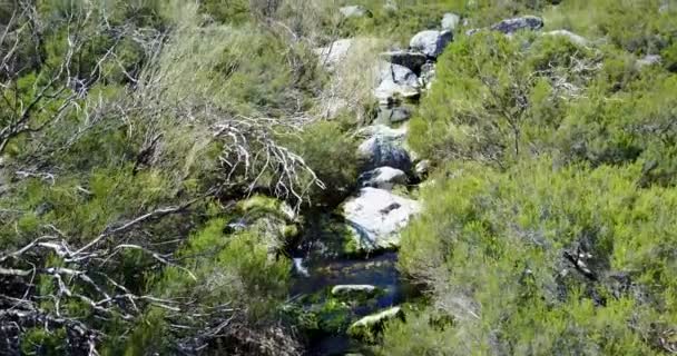 Flyger Över Bäck Vid Naturparken Serra Estrela Portugal — Stockvideo