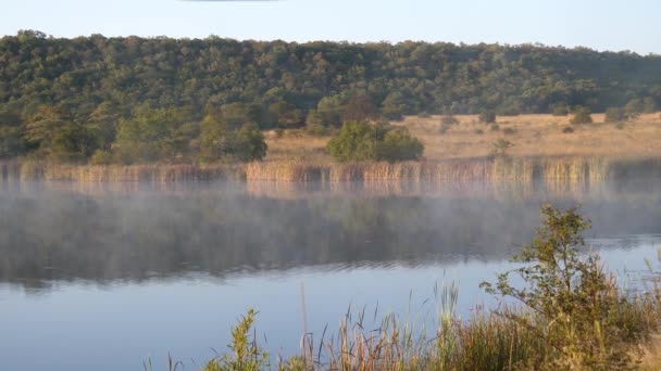 Névoa Matinal Sobre Lago Waterberg África Sul — Vídeo de Stock