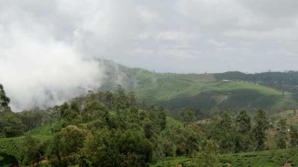 Czas Upływa Pochmurnie Poruszając Się Nad Plantacjami Herbaty Sri Lance — Wideo stockowe