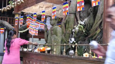 Sri Lanka 'daki Pidurangala kayasının altındaki tapınak.