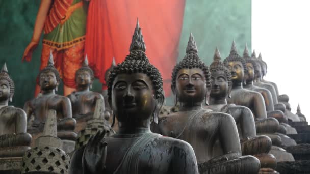 Statue Buddhiste Tempio Gangaramaya Colombo Sri Lanka — Video Stock
