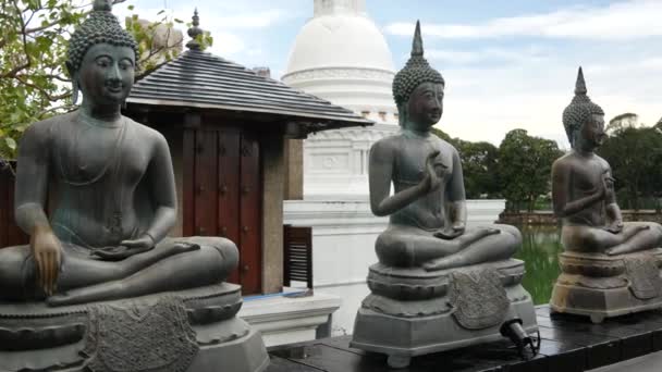 Pan Buddhista Szobrokból Simamalaka Szentélyből Egy Beira Lake Szigeten Kolumbiában — Stock videók