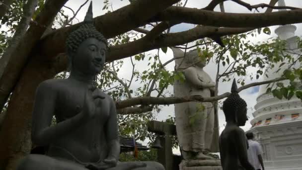 Estatuas Budistas Bajo Árbol Santuario Simamalaka Una Isla Lago Beira — Vídeo de stock