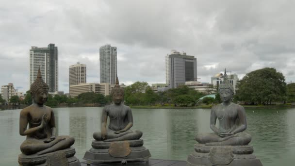 Estatuas Budistas Santuario Simamalaka Una Isla Lago Beira Colombo Sri — Vídeo de stock