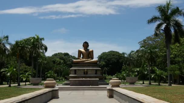 Big Buddha Στην Είσοδο Του Πάρκου Viharamahadevi Κολόμπο Σρι Λάνκα — Αρχείο Βίντεο
