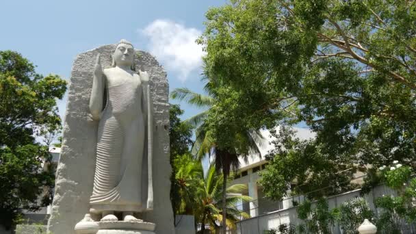 Posąg Aukana Buddha Kolombo Sri Lanka — Wideo stockowe